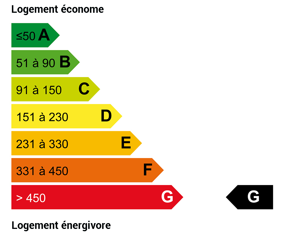 DPE énergie : 450