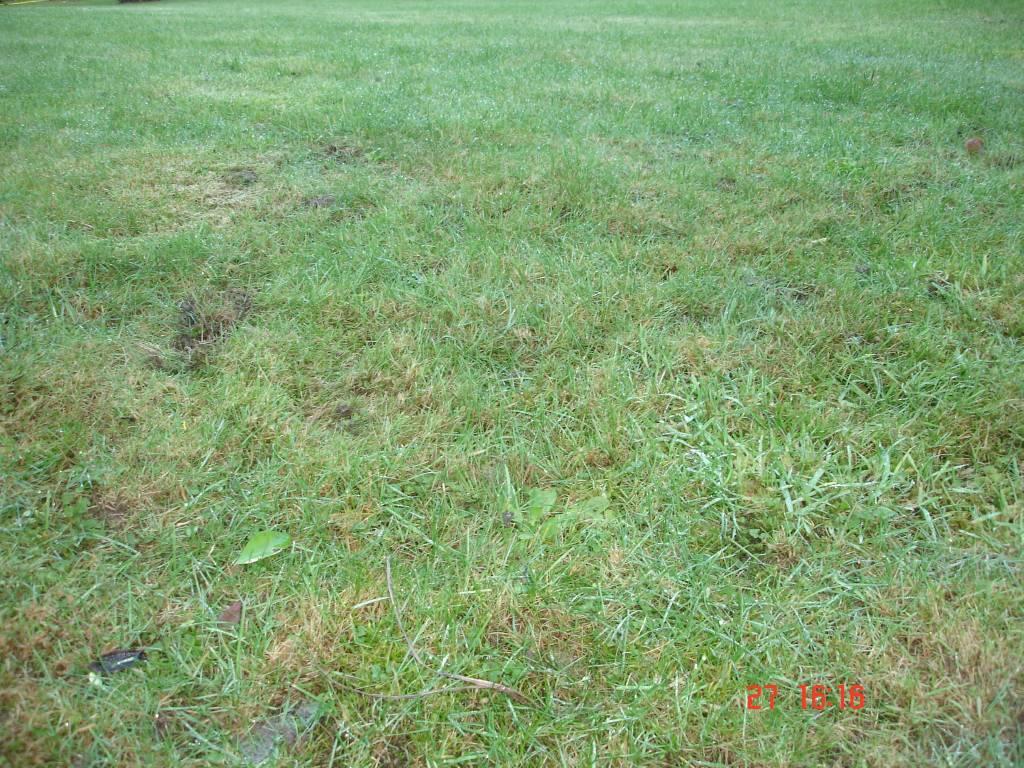 Achat terrain à Le Faouët - m² - Réf: 56028-1172
