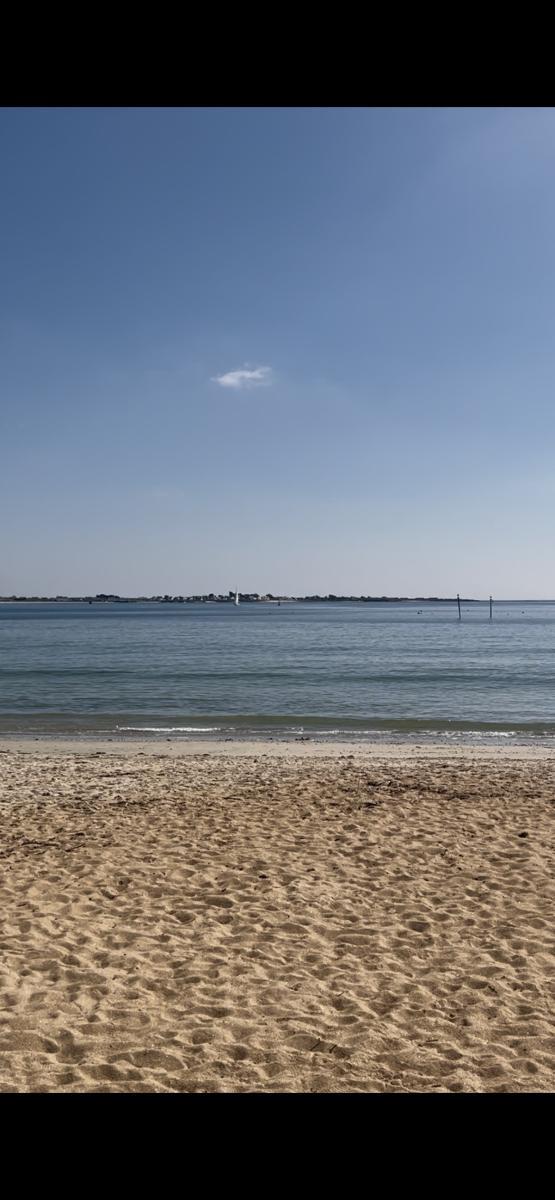Achat maison à Larmor-Plage - 161m² - Réf: 56081-25.11