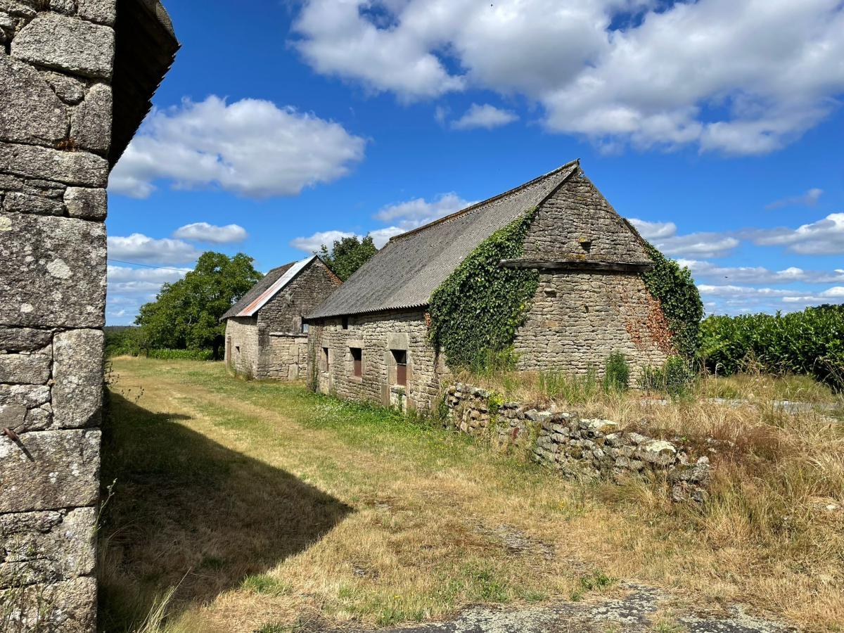 Achat maison à Inguiniel - 93m² - Réf: 56081-2439